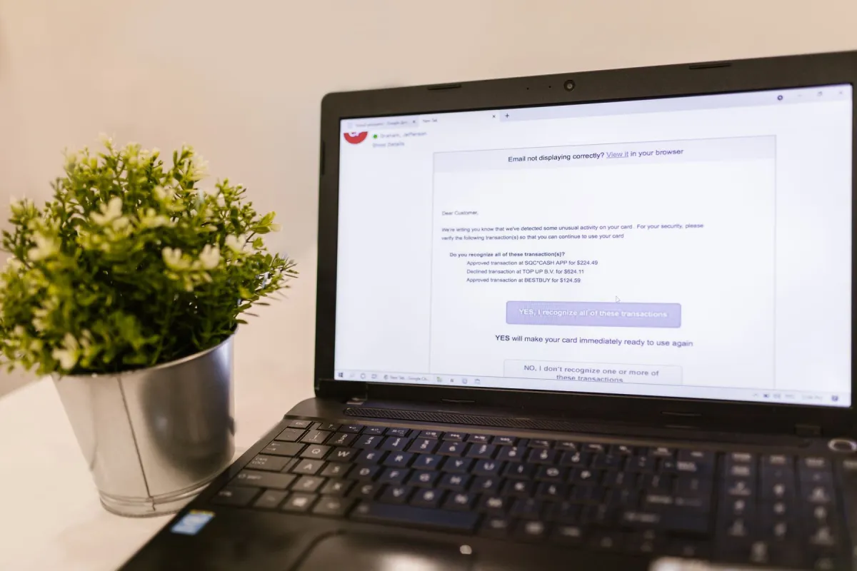 Laptop displaying an email message beside a green plant
