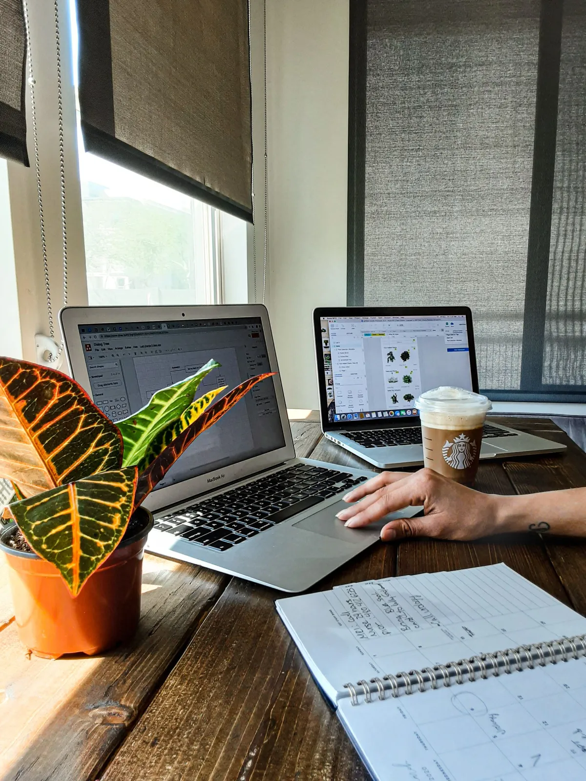 Two Mac laptops beside a plant, iced coffee and notebook on a wooden table by a window.